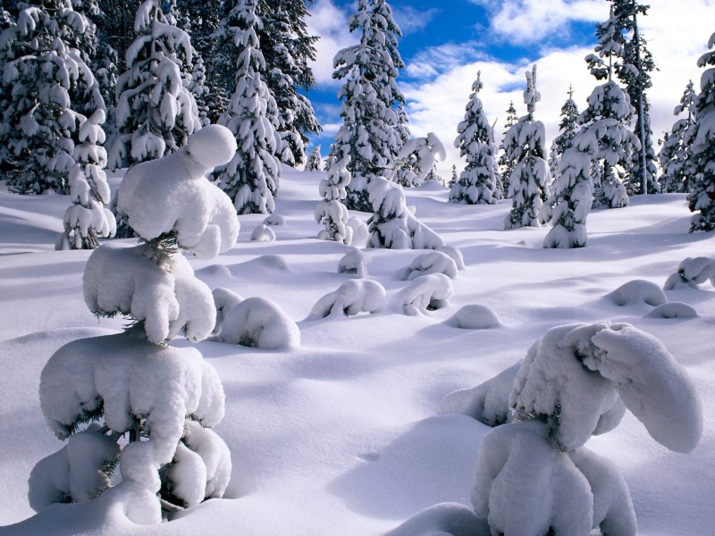 雪山雪景桌面壁纸
