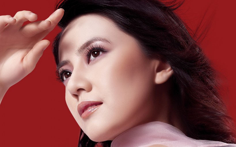 美女明星高圆圆桌面壁纸