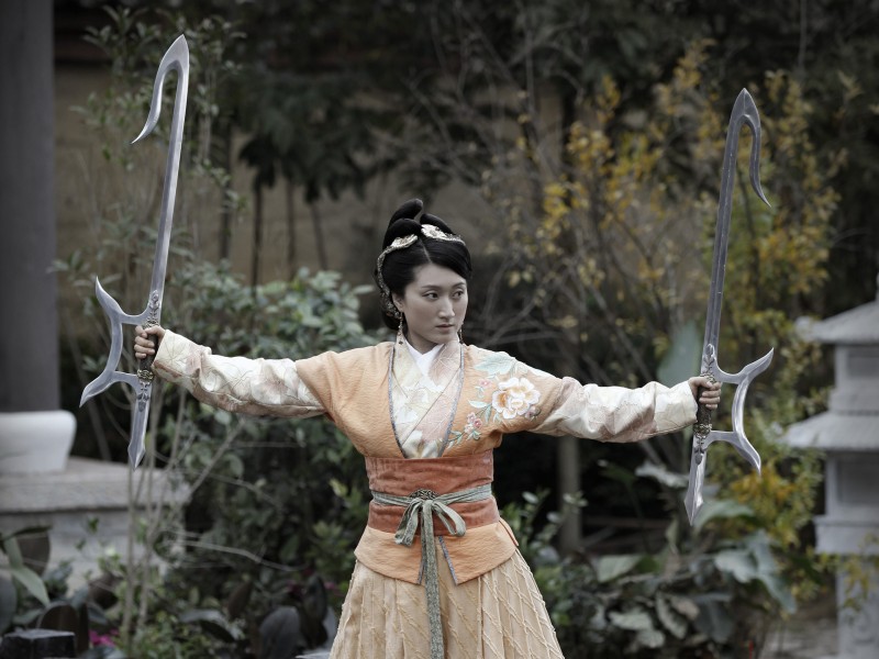 《杨门女将之军令如山》桌面壁纸