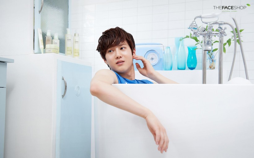 EXO-K 菲诗小铺 The Face Shop桌面壁纸