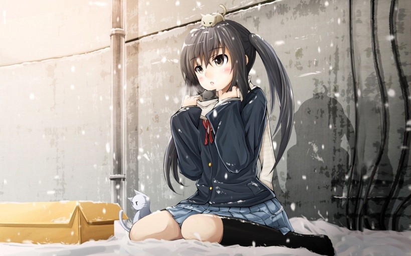 《轻音少女》中野梓桌面壁纸