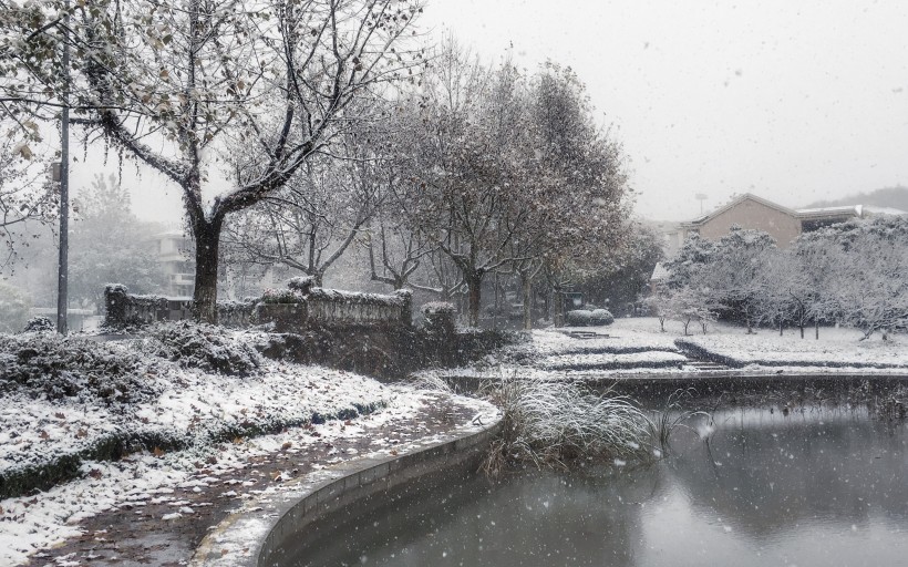 城市秋日和雪风景桌面壁纸